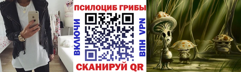 Галлюциногенные грибы Magic Shrooms  купить наркотики цена  omg ссылки  Апшеронск 
