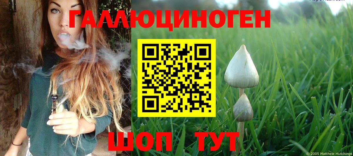 Псилоцибиновые грибы ЛСД Апшеронск